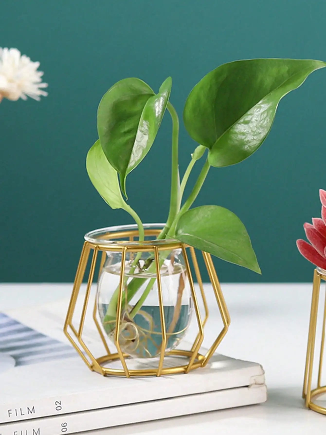 Hydroponic glass & iron design
